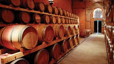 Mendoza busca potenciar las exportaciones de vino.