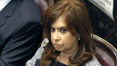 Vicepresidente de la Nación, Cristina Kirchner.